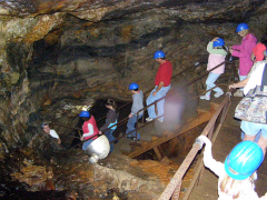 Consolidated Gold Mine Tour